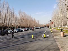 -黄海国家森林公园