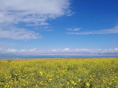 -青海湖国家重点风景名胜区