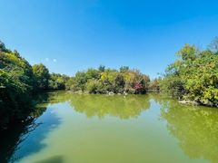 -上海吴淞炮台湾国家湿地公园