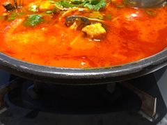 贵州酸汤鱼-贵州大厦贵州厅(樱花园西街店)