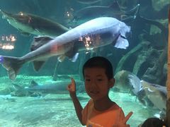 -华夏文旅海洋公园