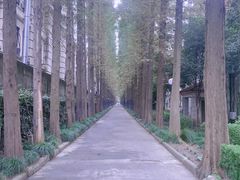 -上海影视乐园