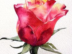 -八哥美术·成人美术画室(总校区)