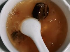 -梵猫·新养生(湛江鼎盛店)