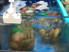 -七鲜超市(万向城店)