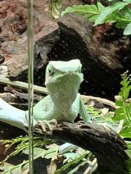 -酷嗒动物文化乐园(cutezoo西溪乐天城店)