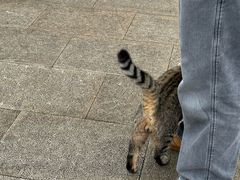 -重元寺香积厨素斋馆