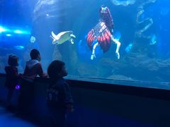 -多彩贵州城极地海洋世界