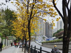 -晓港公园