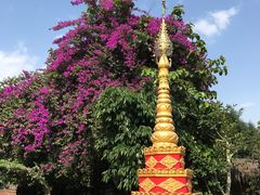 景点-瑞丽独树成林风景区
