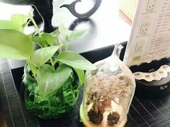 -碧露轩·大益茶体验馆(镇江路店)