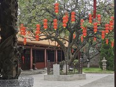 -三水森林公园