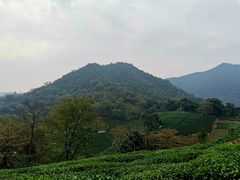 -午潮山国家森林公园