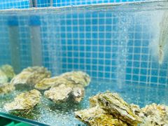 水产区-白仁仔· 活烤海鲜 宵夜(豫园店)