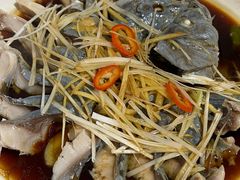 -煲来饱去冷水鱼