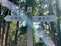 -火炉山森林公园