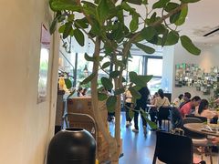 -gaga(深圳南山益田假日广场店)