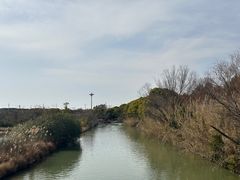 -苏州太湖国家湿地公园