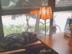 -咖法森林·咖啡  酒吧(天河店)