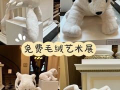 -上海外滩华尔道夫酒店