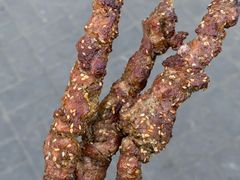 -景泰马记电烤串(景泰店)