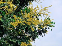 景点-景山公园