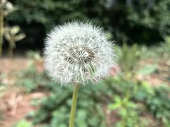 -广州神农草堂中医药博物馆