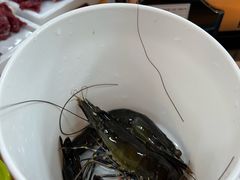 -养牛邓·潮汕牛肉海鲜自助火锅(广州店)