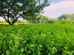景点-野鸭湖国家湿地公园