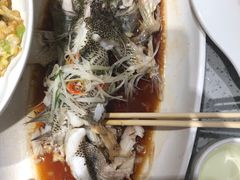 -紫光园·烤鸭·北京菜(团结湖店)