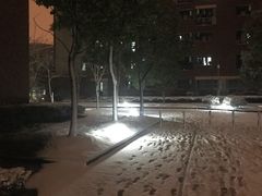 -同济大学(嘉定校区)