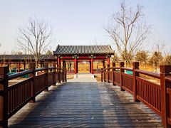 -张家湾公园