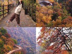 -少华山国家森林公园