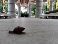 -福建鲤鱼洲酒店