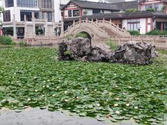 -常熟方塔园
