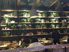 -云海肴·汽锅鸡·云南菜(天津国金汇店)