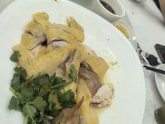 -口衣记鸡饭店