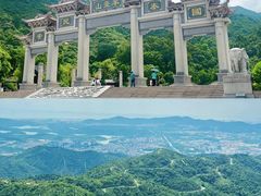 -阳台山森林公园