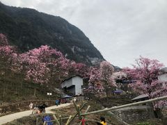 -九皇山景区