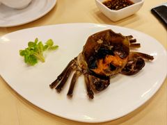 -王宝和酒家(黄浦店)