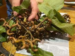 -丰乐餐厅·始于1999·本地老字号