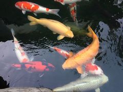 -天竺岩寺