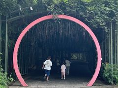 -苏州太湖国家湿地公园