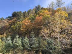 -塞罕坝国家级自然保护区