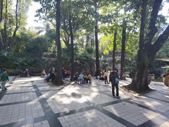 -晓港公园