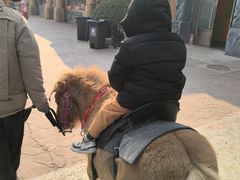 -欢乐水魔方水世界