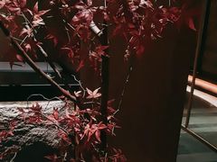 -揽季锅物会.福建黄鱼.海鲜姿造(五四路店)