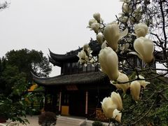 -圆通寺