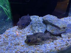 -上海海洋水族馆