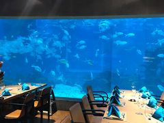 -海棠湾洲际-涛·海底餐厅·美人鱼·自助餐·海底隧道